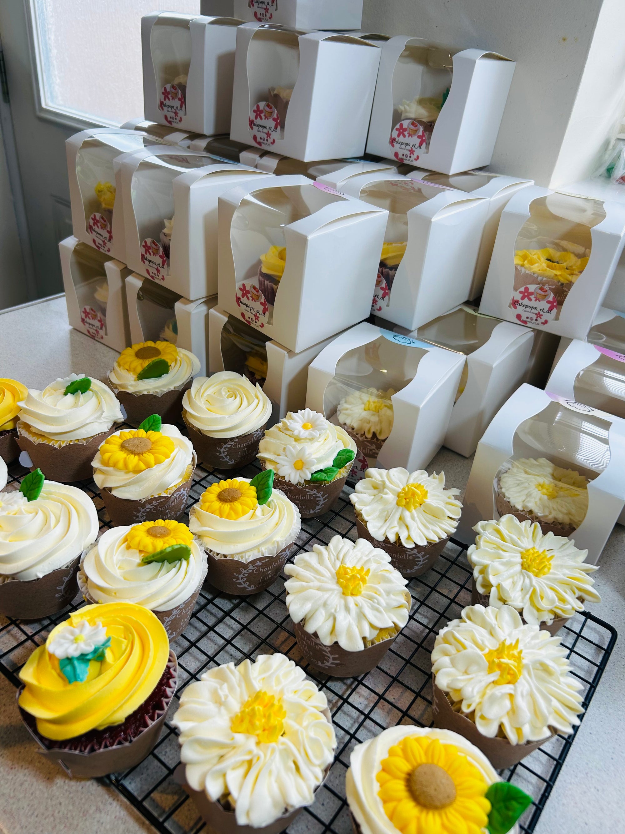 Box of 6 Cupcakes